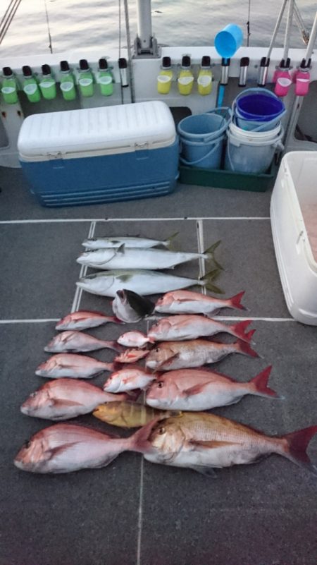 ARCADIAⅡ (アルカディアⅡ) 釣果