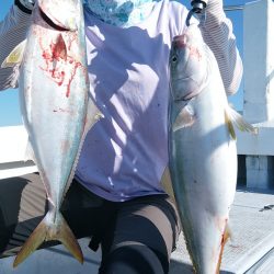 LUSTER『ラスター』 釣果