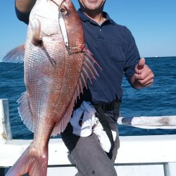 LUSTER『ラスター』 釣果