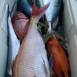 LUSTER『ラスター』 釣果