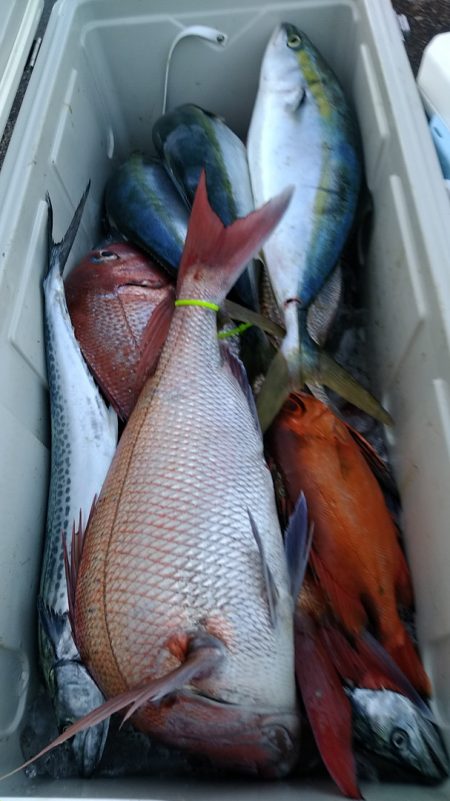 LUSTER『ラスター』 釣果