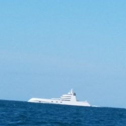 LUSTER『ラスター』 釣果