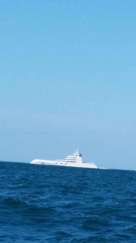 LUSTER『ラスター』 釣果