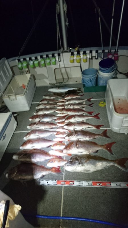 ARCADIAⅡ （アルカディアⅡ） 釣果…