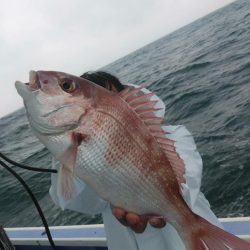 新幸丸 釣果