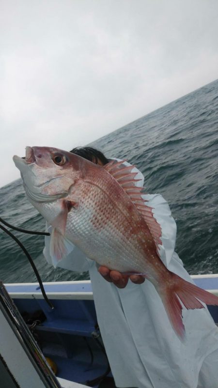新幸丸 釣果