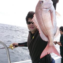 だて丸 釣果