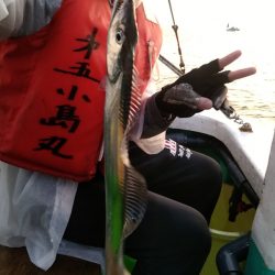 小島丸 釣果