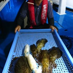 第三共栄丸 釣果