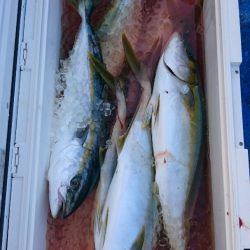 海龍丸（石川） 釣果