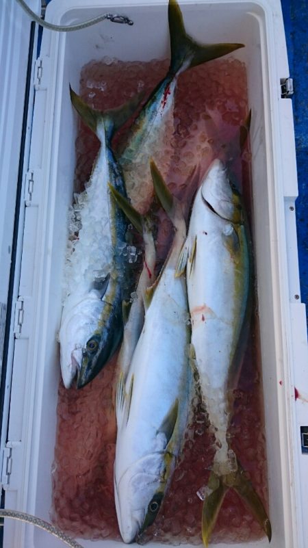 海龍丸（石川） 釣果