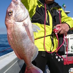 だて丸 釣果