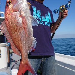 だて丸 釣果