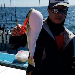 みやけ丸 釣果