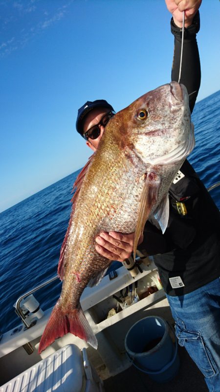 ARCADIAⅡ (アルカディアⅡ) 釣果