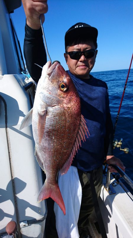 ARCADIAⅡ (アルカディアⅡ) 釣果