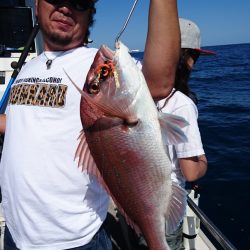 ARCADIAⅡ (アルカディアⅡ) 釣果