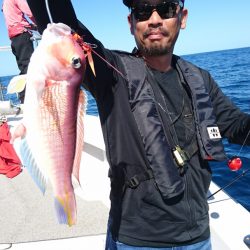 ARCADIAⅡ (アルカディアⅡ) 釣果