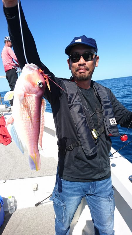 ARCADIAⅡ (アルカディアⅡ) 釣果