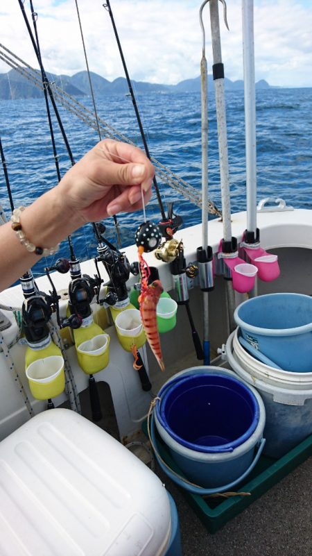 ARCADIAⅡ (アルカディアⅡ) 釣果