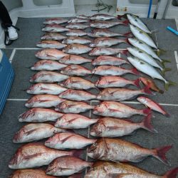 ARCADIAⅡ (アルカディアⅡ) 釣果