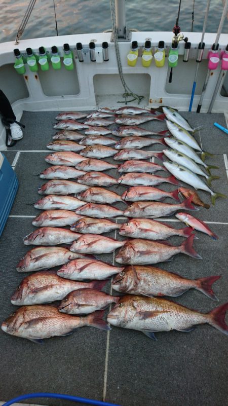 ARCADIAⅡ (アルカディアⅡ) 釣果