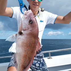 LUSTER『ラスター』 釣果