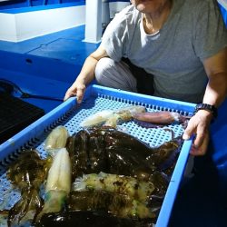 第三共栄丸 釣果