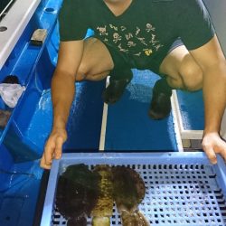 第三共栄丸 釣果