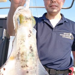 シースナイパー海龍 釣果