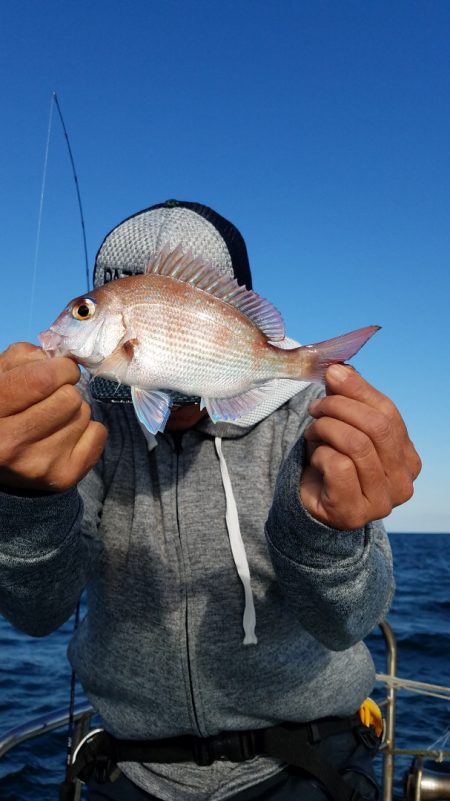 みやけ丸 釣果