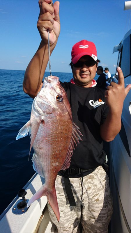 ARCADIAⅡ (アルカディアⅡ) 釣果