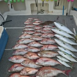 ARCADIAⅡ (アルカディアⅡ) 釣果