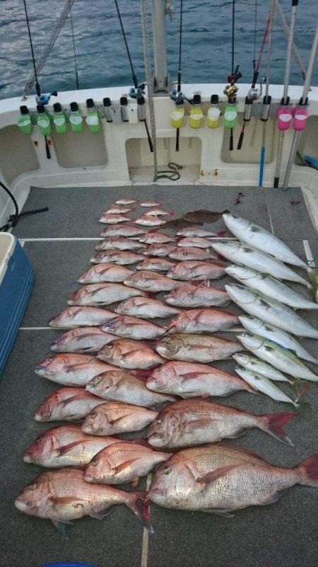 ARCADIAⅡ (アルカディアⅡ) 釣果