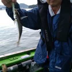 小島丸 釣果