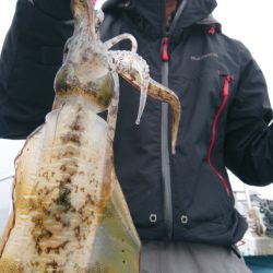 シースナイパー海龍 釣果