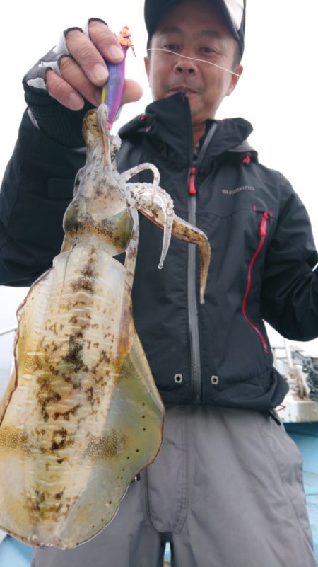 シースナイパー海龍 釣果