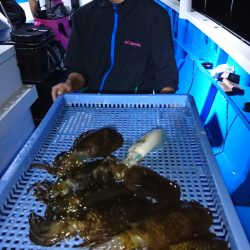 第三共栄丸 釣果