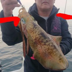 きずなまりん 釣果