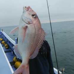 新幸丸 釣果
