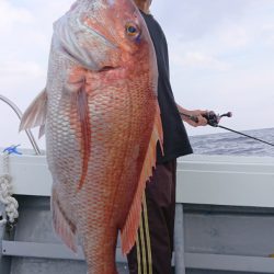 だて丸 釣果