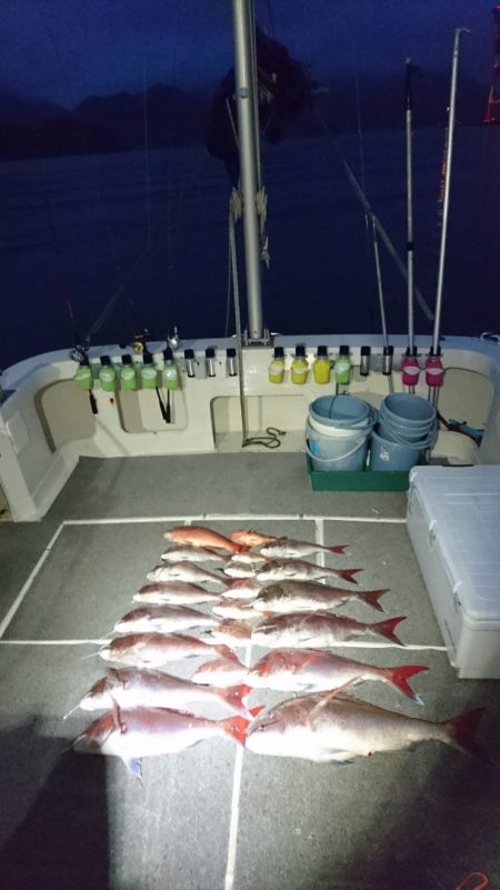 ARCADIAⅡ (アルカディアⅡ) 釣果