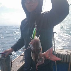 海龍丸（石川） 釣果