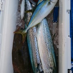 海龍丸（石川） 釣果