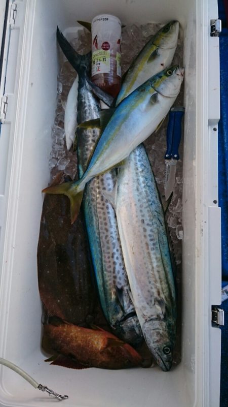 海龍丸（石川） 釣果