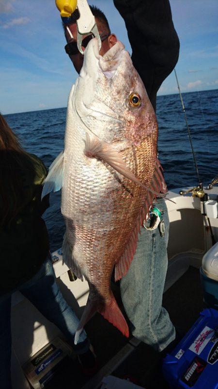 ARCADIAⅡ (アルカディアⅡ) 釣果