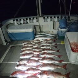 ARCADIAⅡ (アルカディアⅡ) 釣果