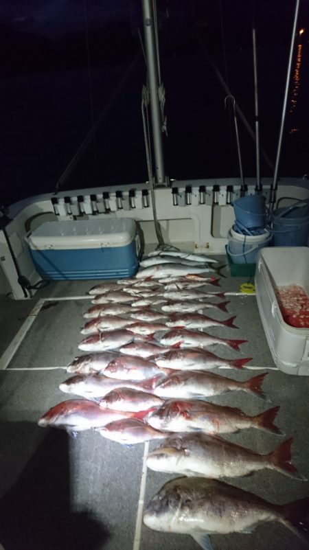 ARCADIAⅡ (アルカディアⅡ) 釣果