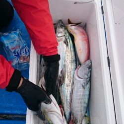 海龍丸（石川） 釣果