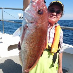 ARCADIAⅡ (アルカディアⅡ) 釣果